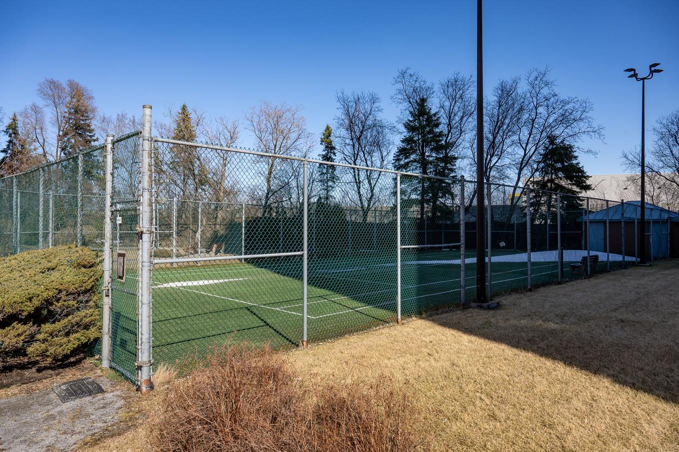 Cour - 1604-795 Rue Muir, Montréal (Saint-Laurent), QC - Outdoor