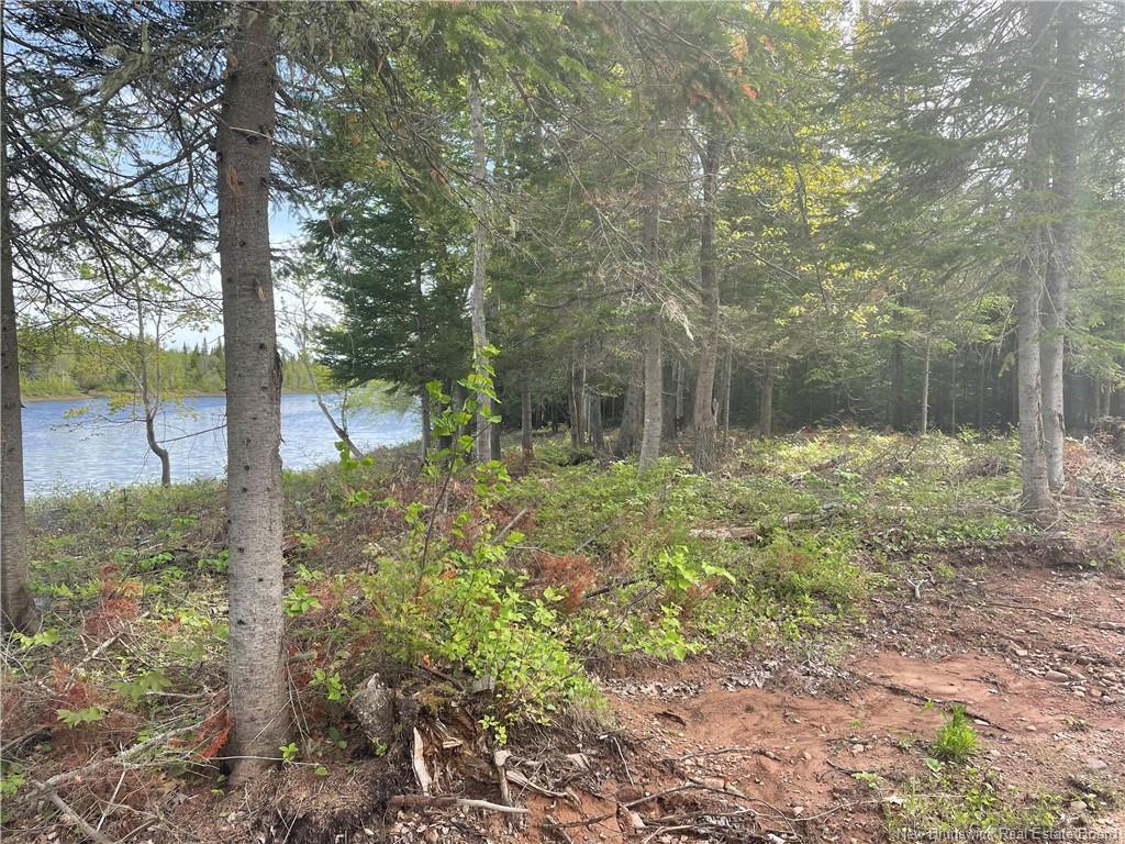 - Wegesegum Rd, Long Creek, NB