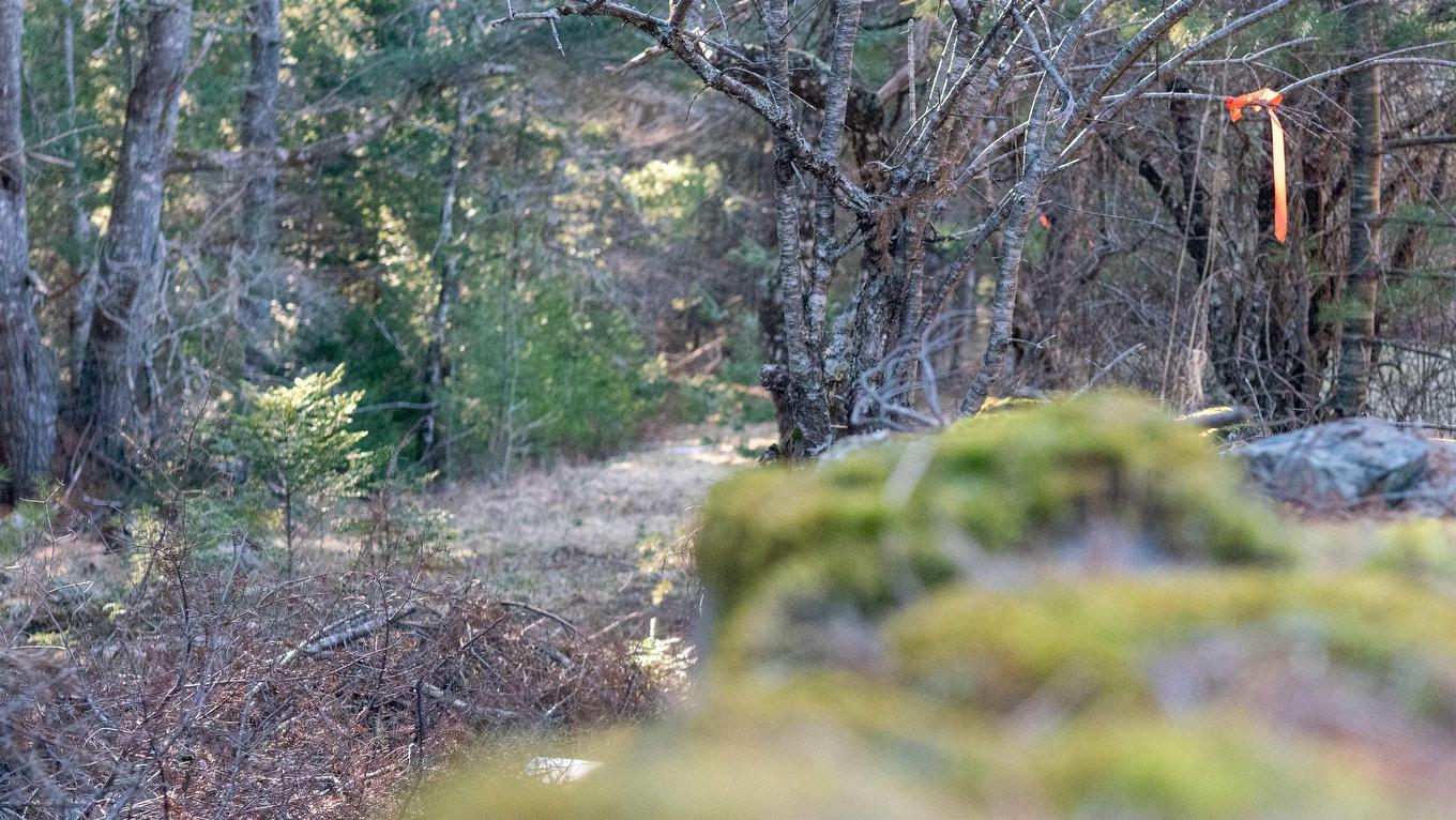 Lot Ss-1 Maple Drive, Lower Ohio, NS