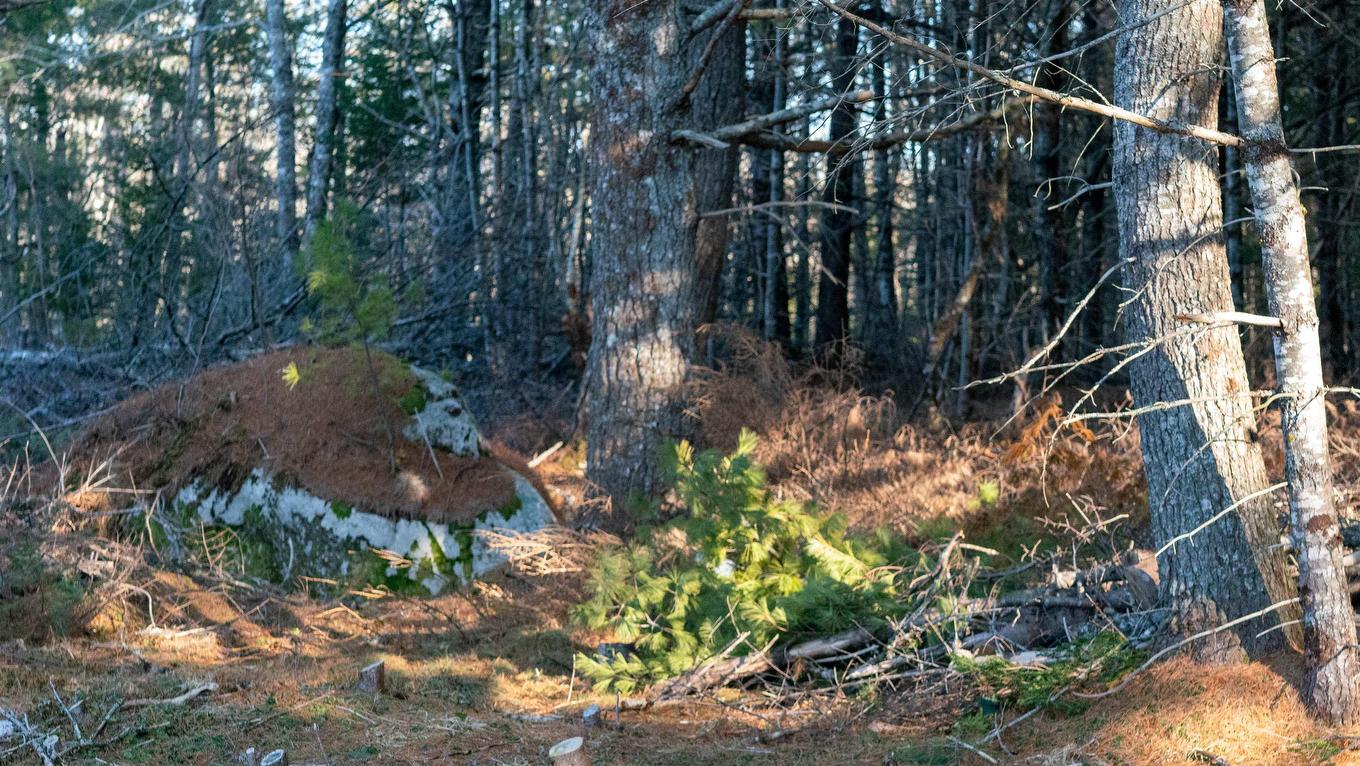 Lot Ss-1 Maple Drive, Lower Ohio, NS