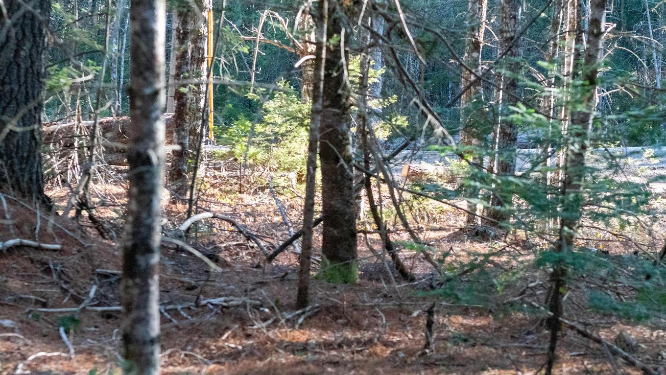 Lot Ss-1 Maple Drive, Lower Ohio, NS