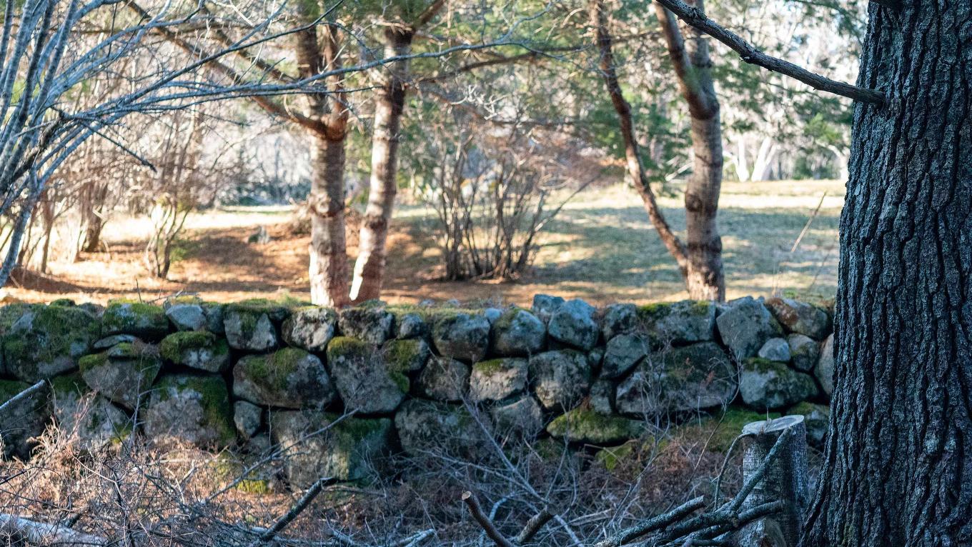 Lot Ss-1 Maple Drive, Lower Ohio, NS