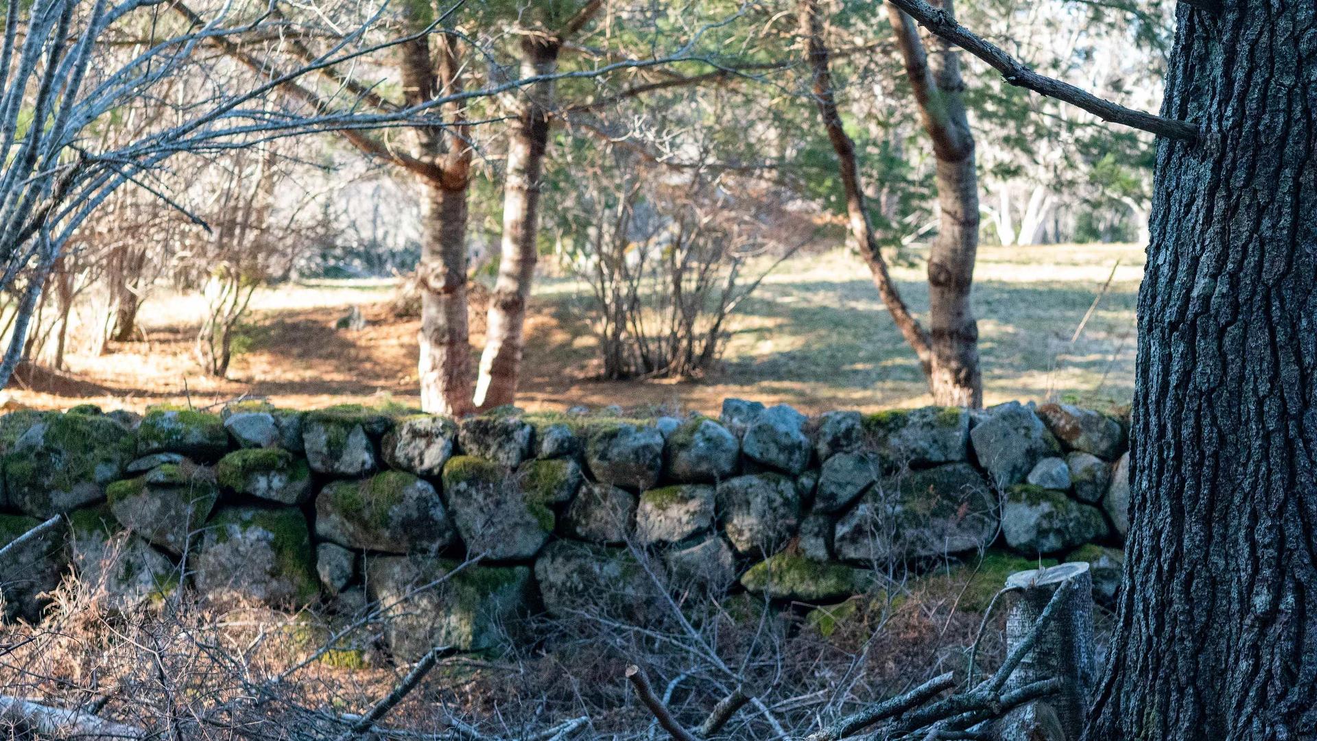Lot Ss-1 Maple Drive, Lower Ohio, NS