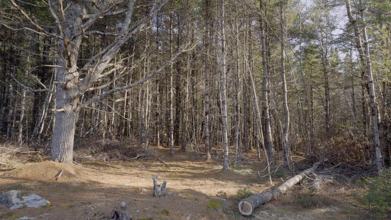 Lot Ss-1 Maple Drive, Lower Ohio, NS