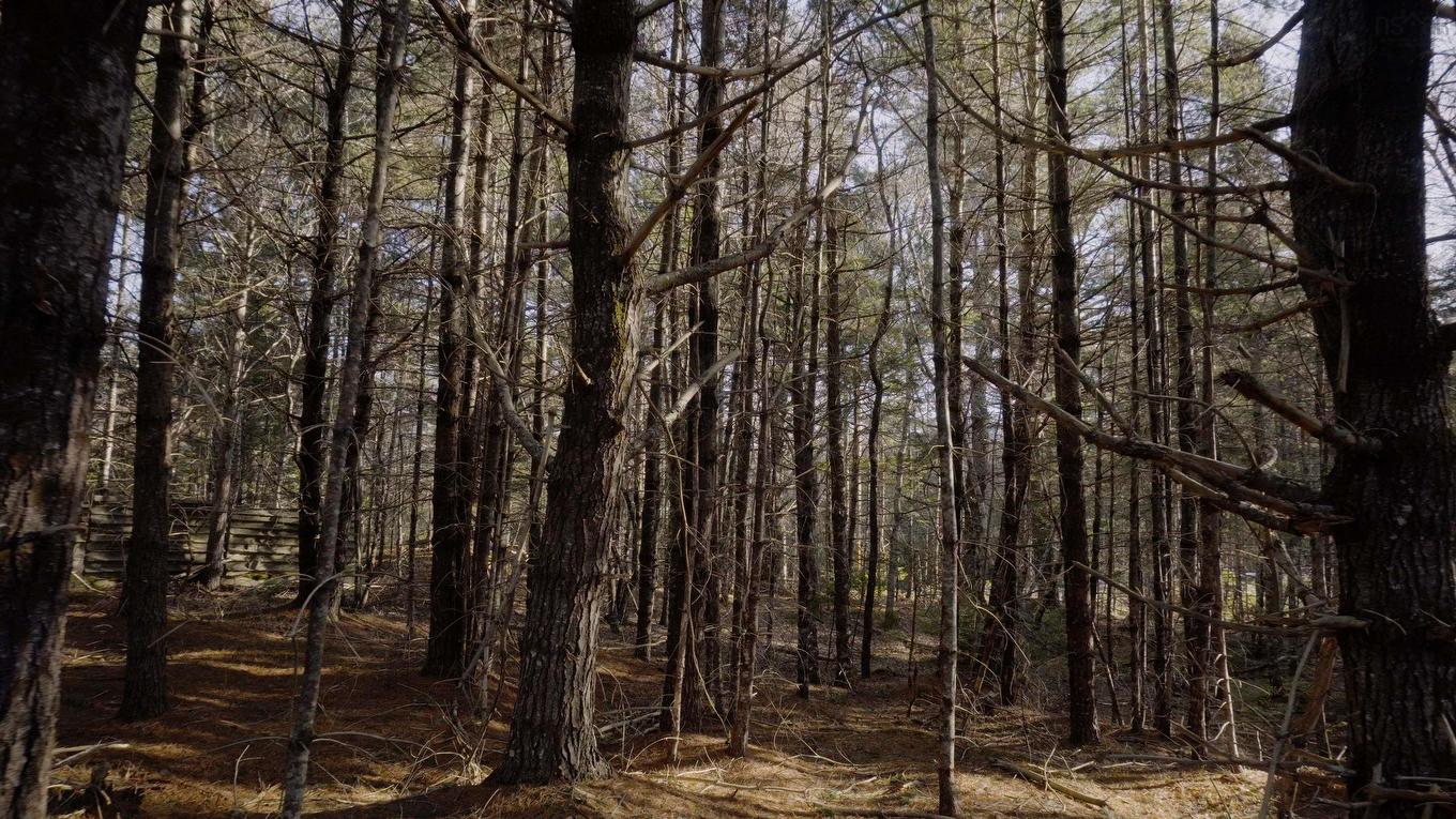 Lot Ss-1 Maple Drive, Lower Ohio, NS
