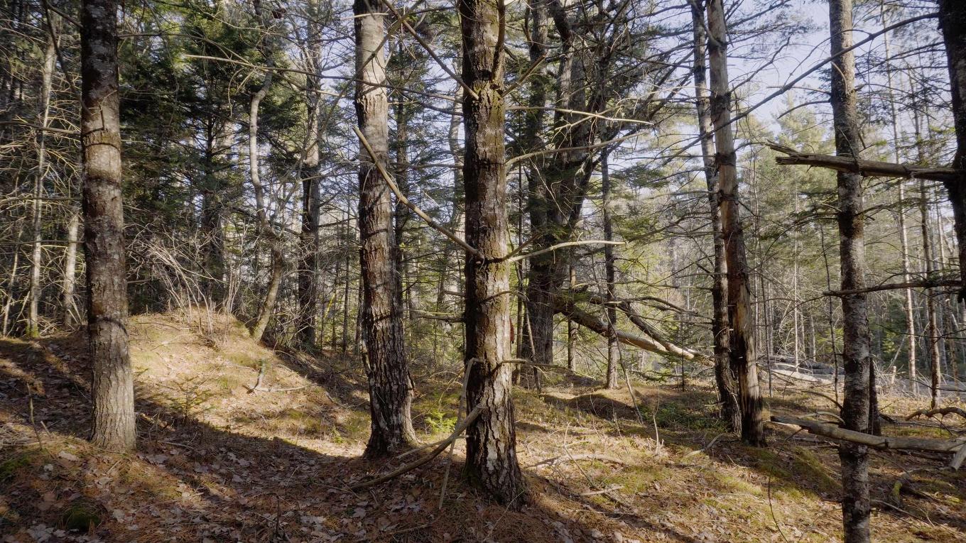 Lot Ss-1 Maple Drive, Lower Ohio, NS