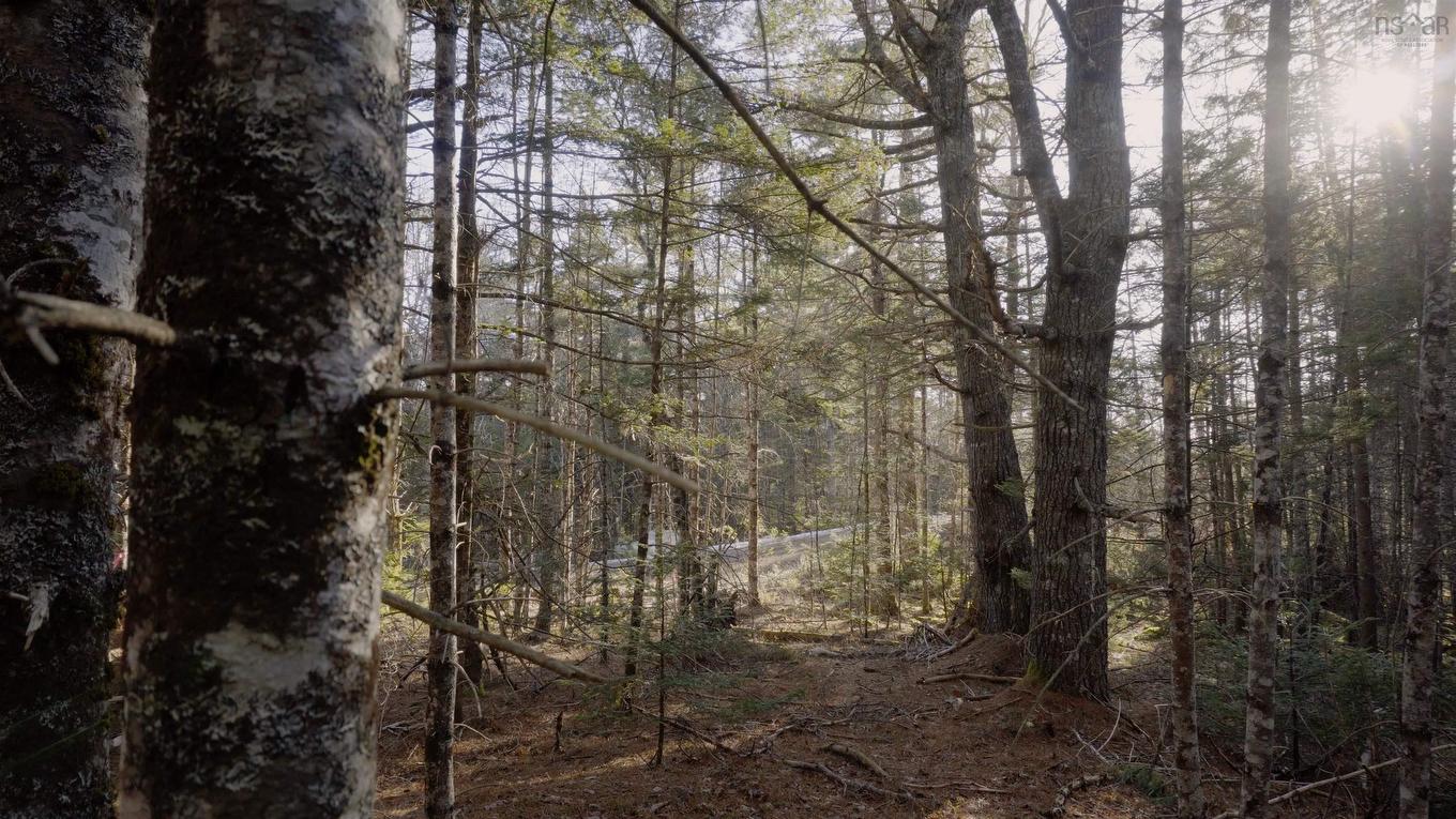 Lot Ss-1 Maple Drive, Lower Ohio, NS