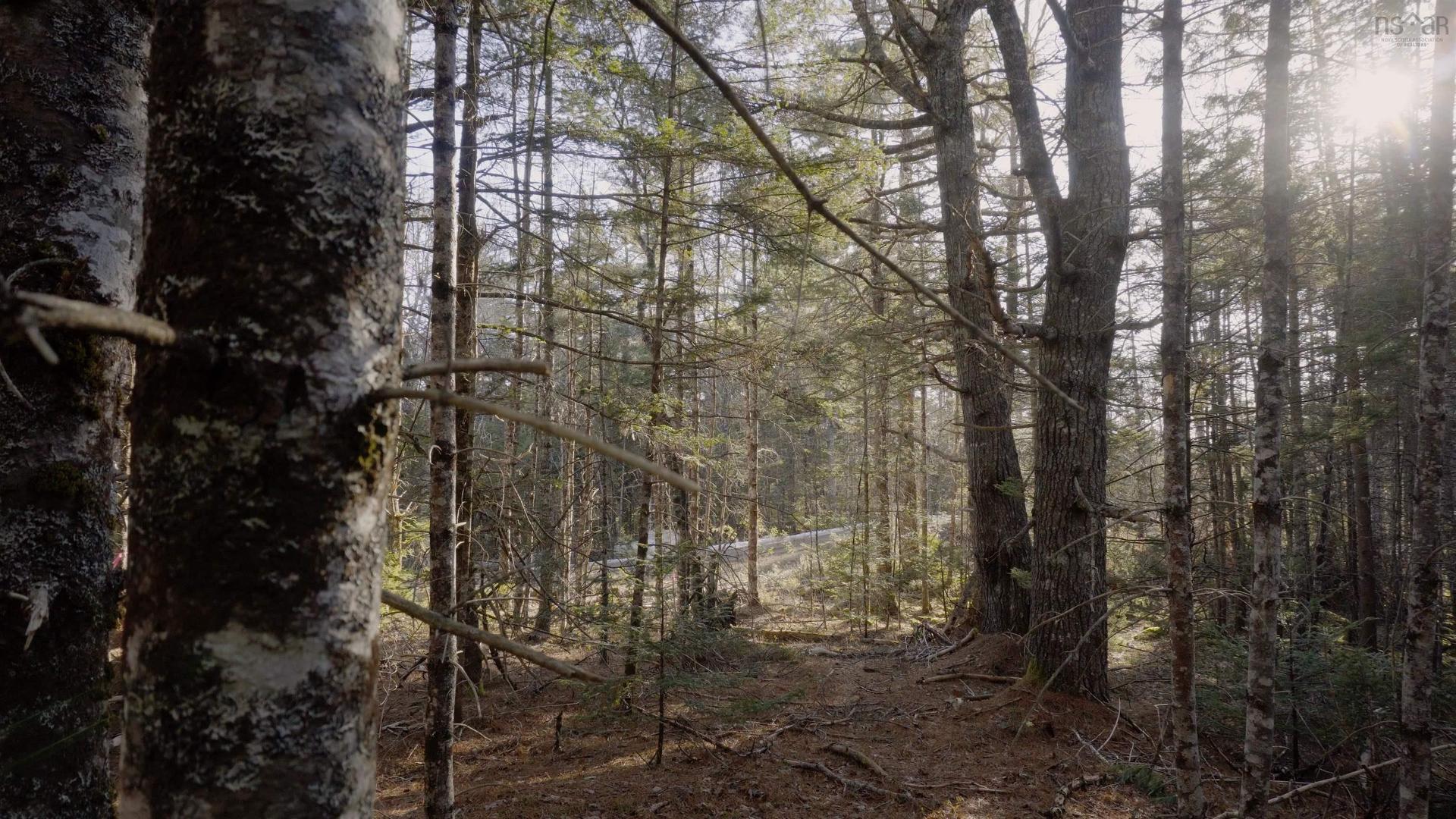 Lot Ss-1 Maple Drive, Lower Ohio, NS
