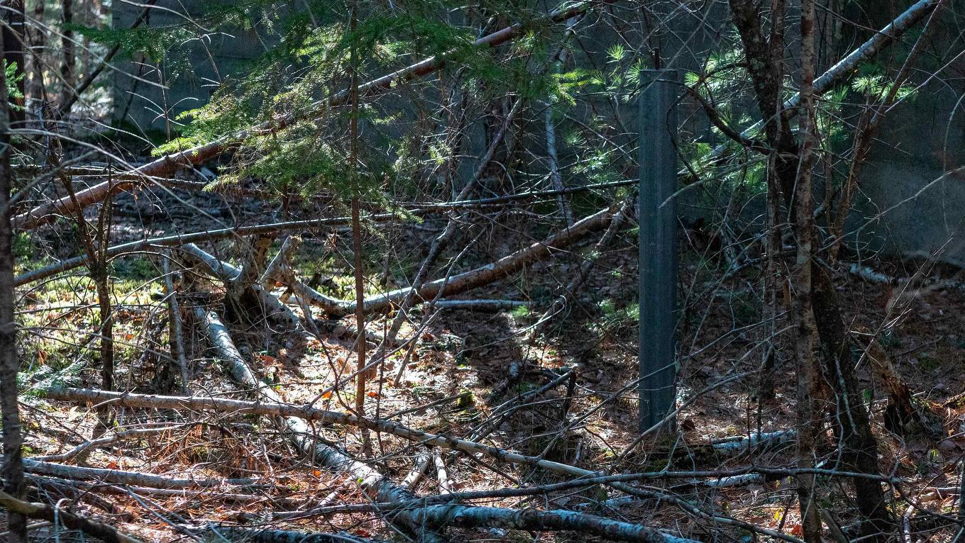 Lot Ss-1 Maple Drive, Lower Ohio, NS