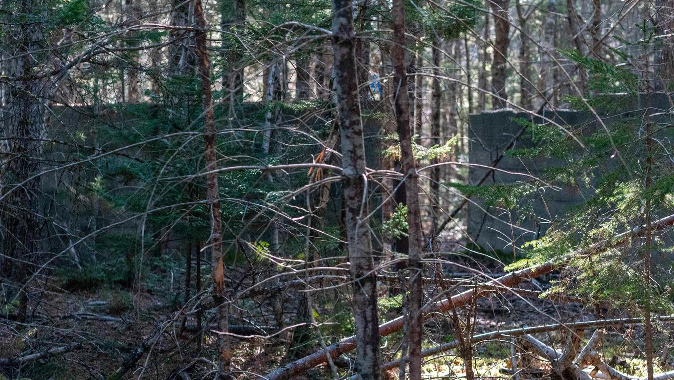 Lot Ss-1 Maple Drive, Lower Ohio, NS
