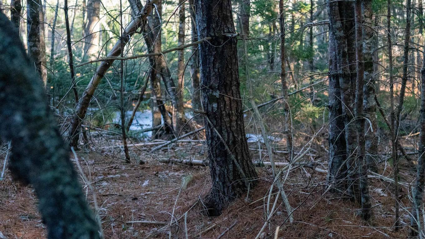 Lot Ss-1 Maple Drive, Lower Ohio, NS