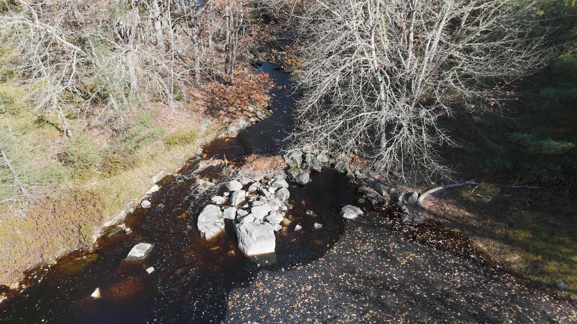 Lot Ss-2 Maple Drive, Lower Ohio, NS