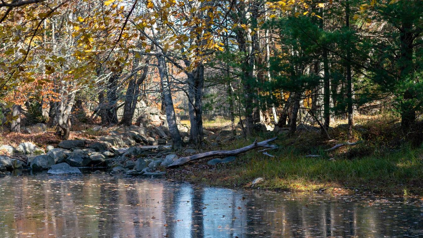 Lot Ss-2 Maple Drive, Lower Ohio, NS