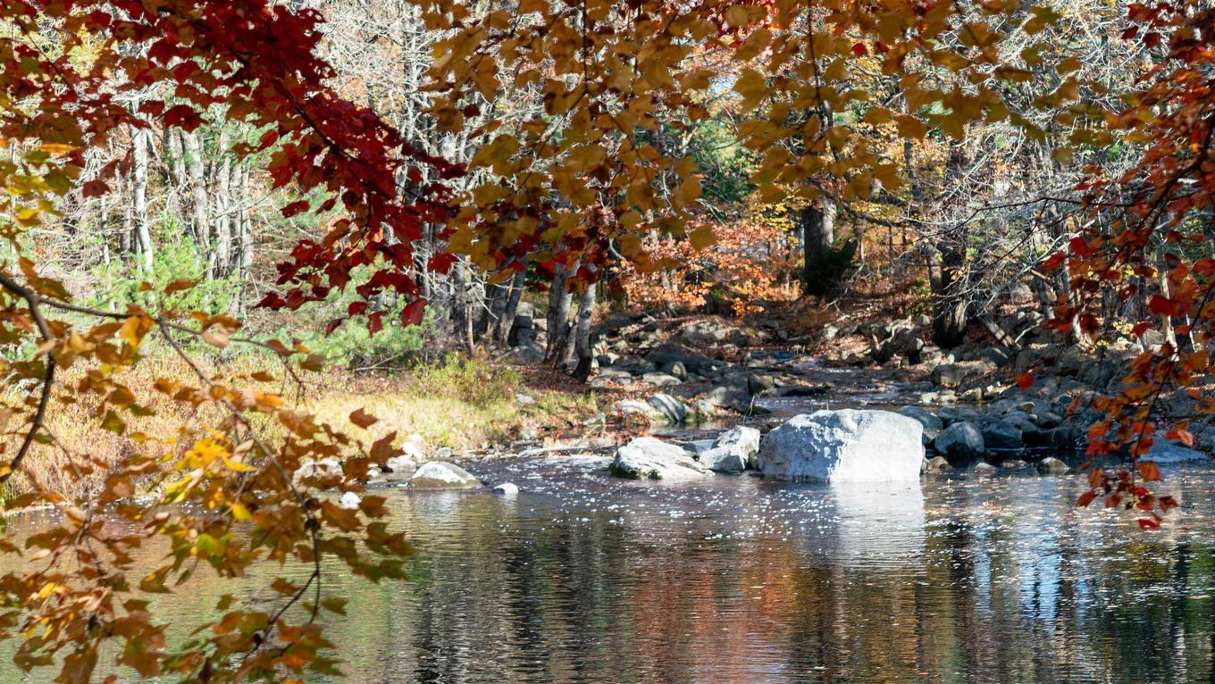 Lot Ss-2 Maple Drive, Lower Ohio, NS