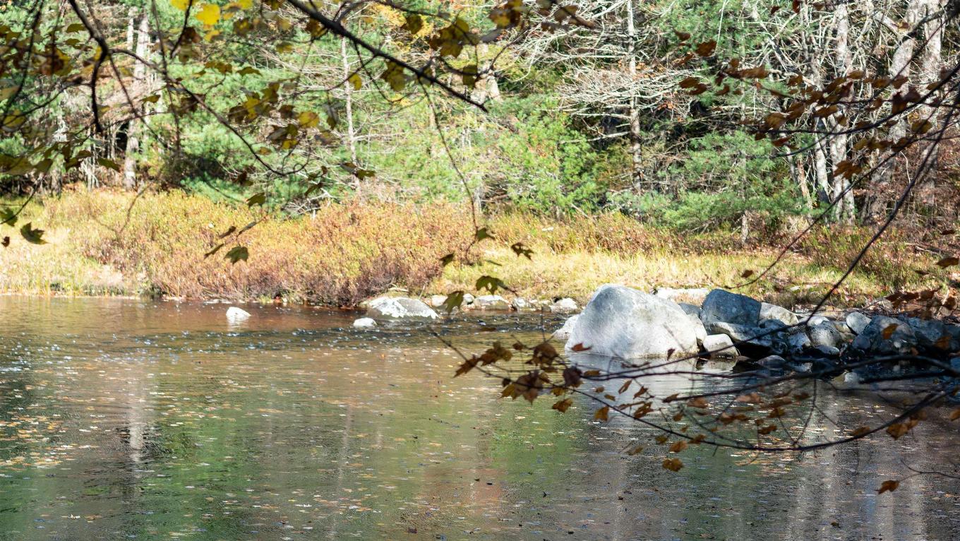 Lot Ss-2 Maple Drive, Lower Ohio, NS