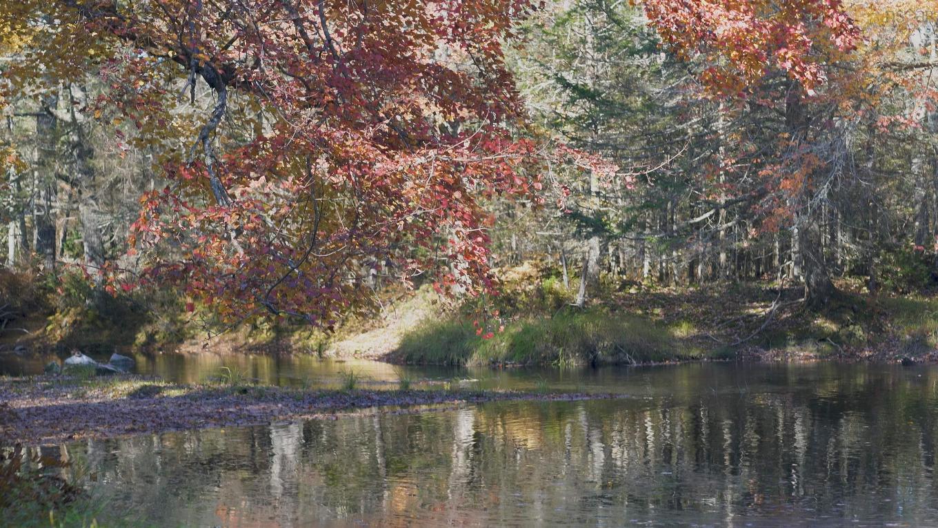 Lot Ss-2 Maple Drive, Lower Ohio, NS