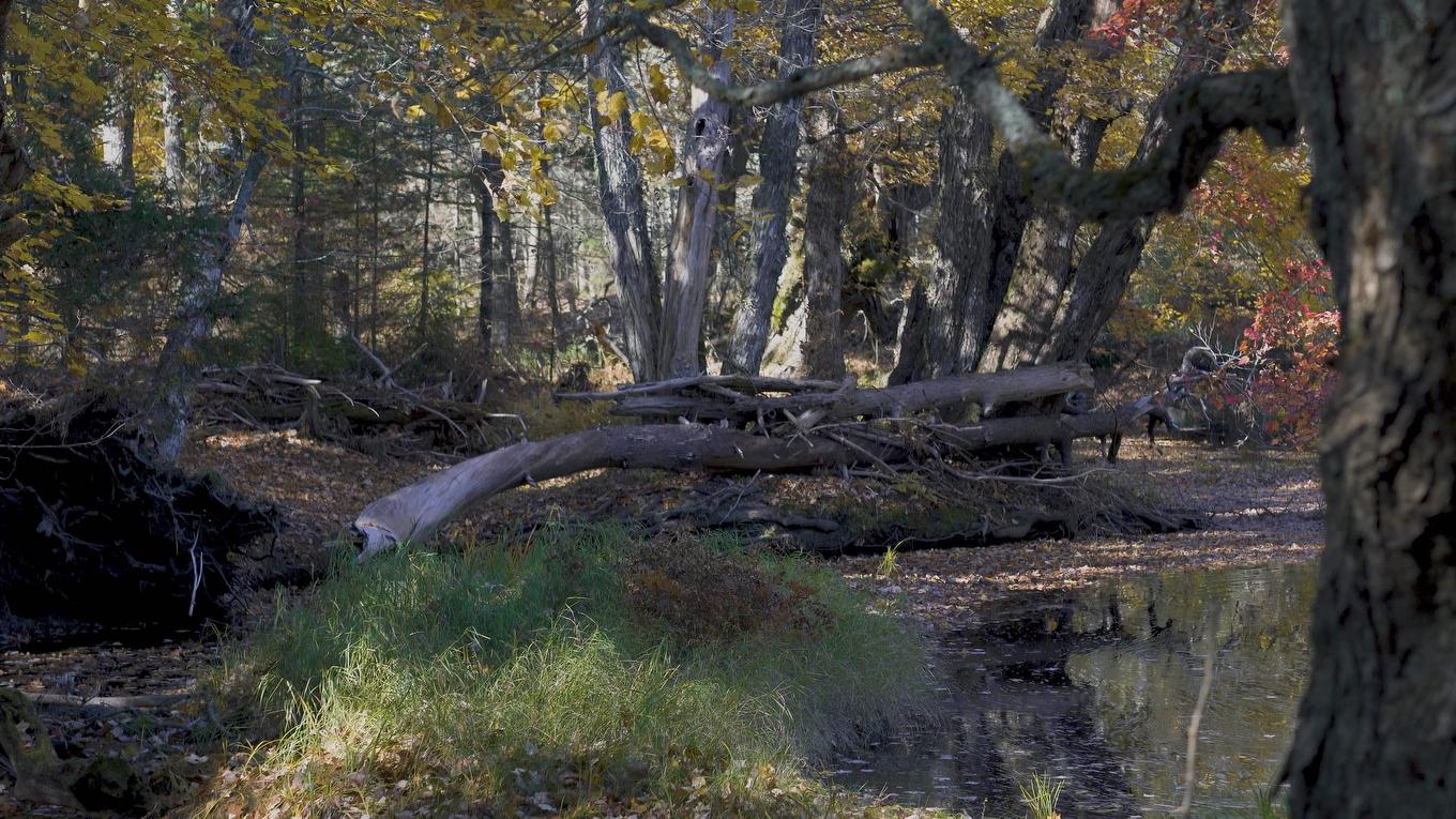 Lot Ss-2 Maple Drive, Lower Ohio, NS