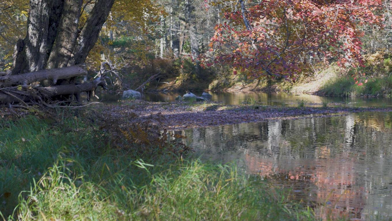 Lot Ss-2 Maple Drive, Lower Ohio, NS