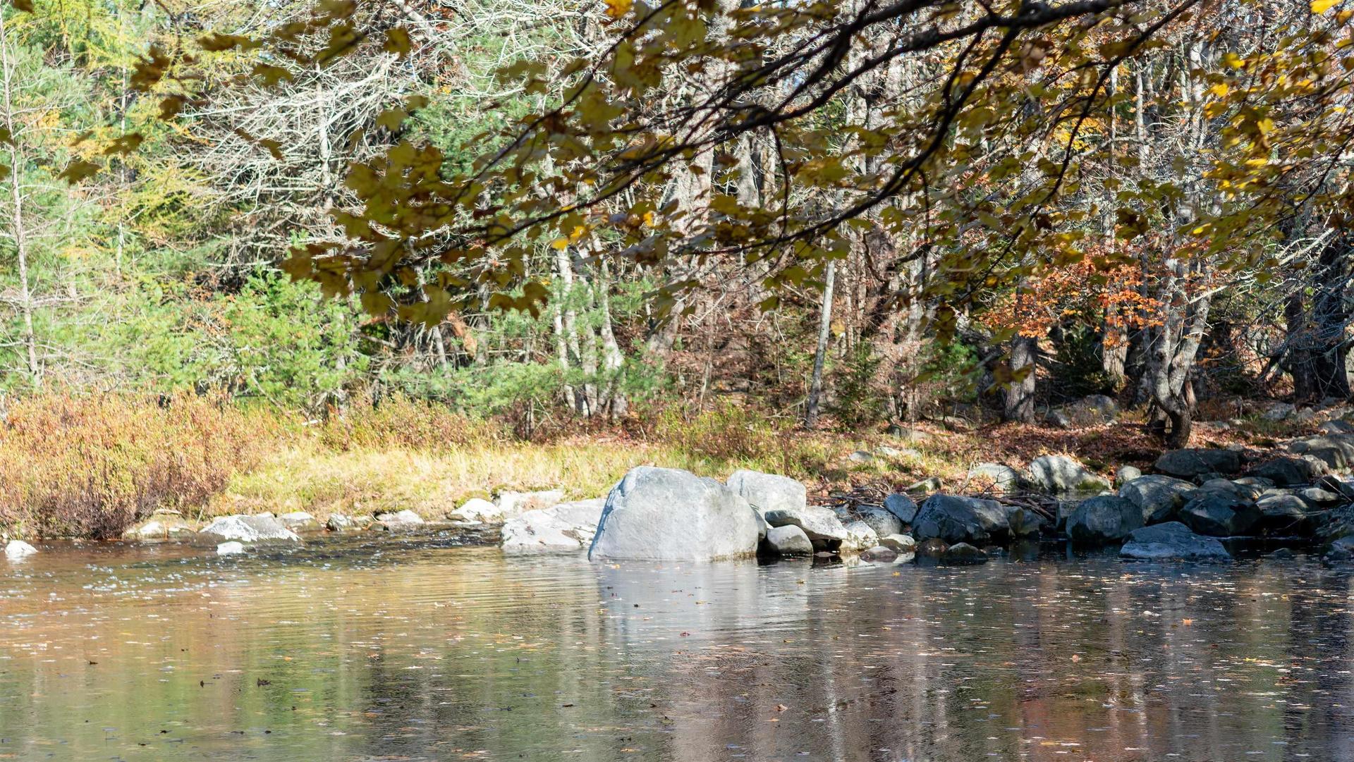 Lot Ss-2 Maple Drive, Lower Ohio, NS
