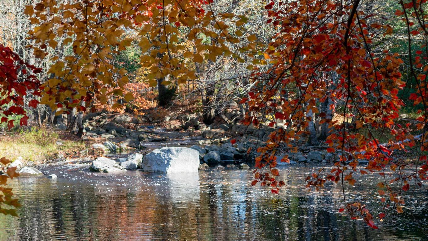Lot Ss-2 Maple Drive, Lower Ohio, NS