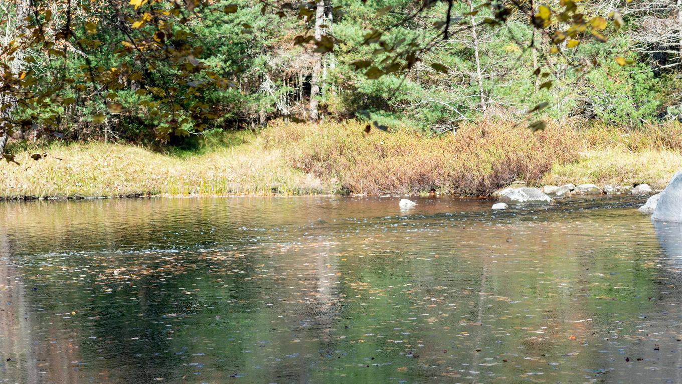 Lot Ss-2 Maple Drive, Lower Ohio, NS