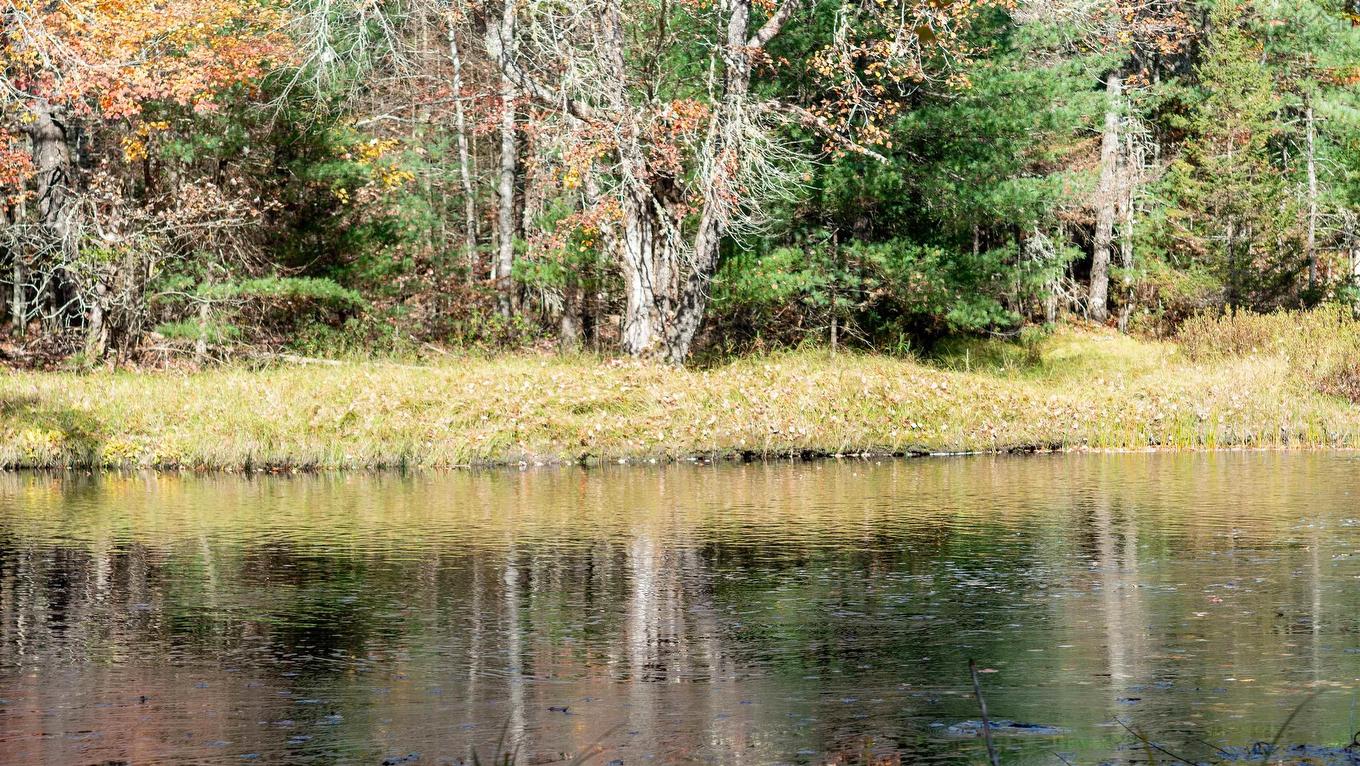 Lot Ss-2 Maple Drive, Lower Ohio, NS