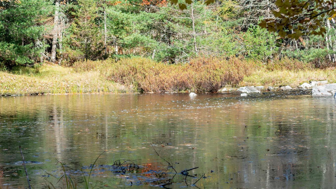 Lot Ss-2 Maple Drive, Lower Ohio, NS