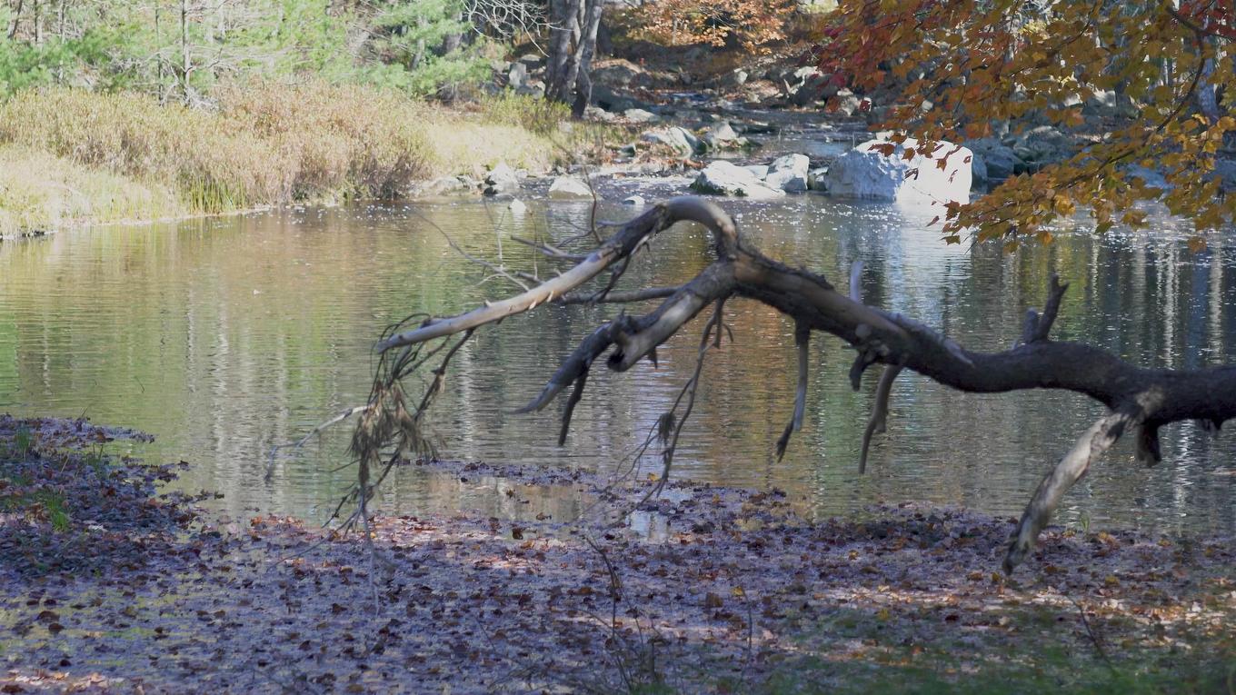 Lot Ss-2 Maple Drive, Lower Ohio, NS