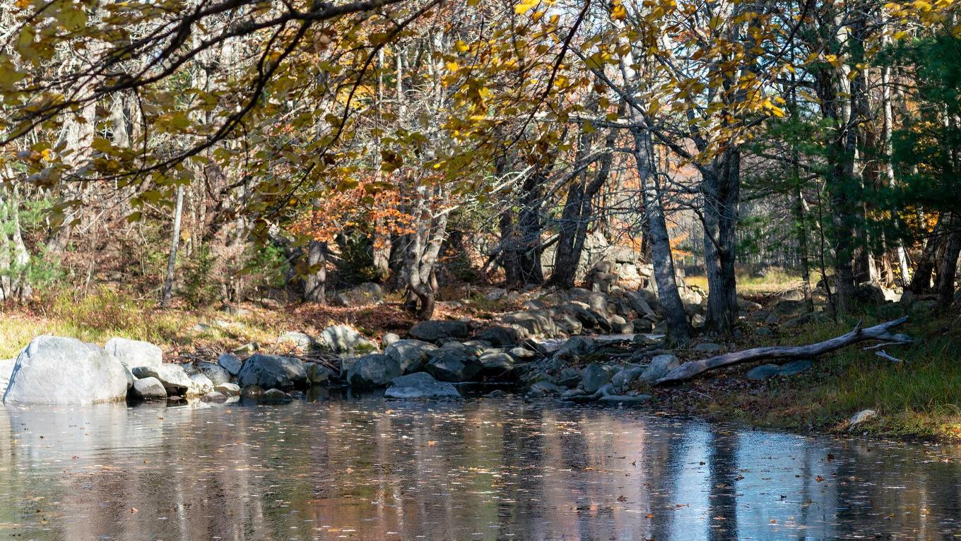 Lot Ss-2 Maple Drive, Lower Ohio, NS