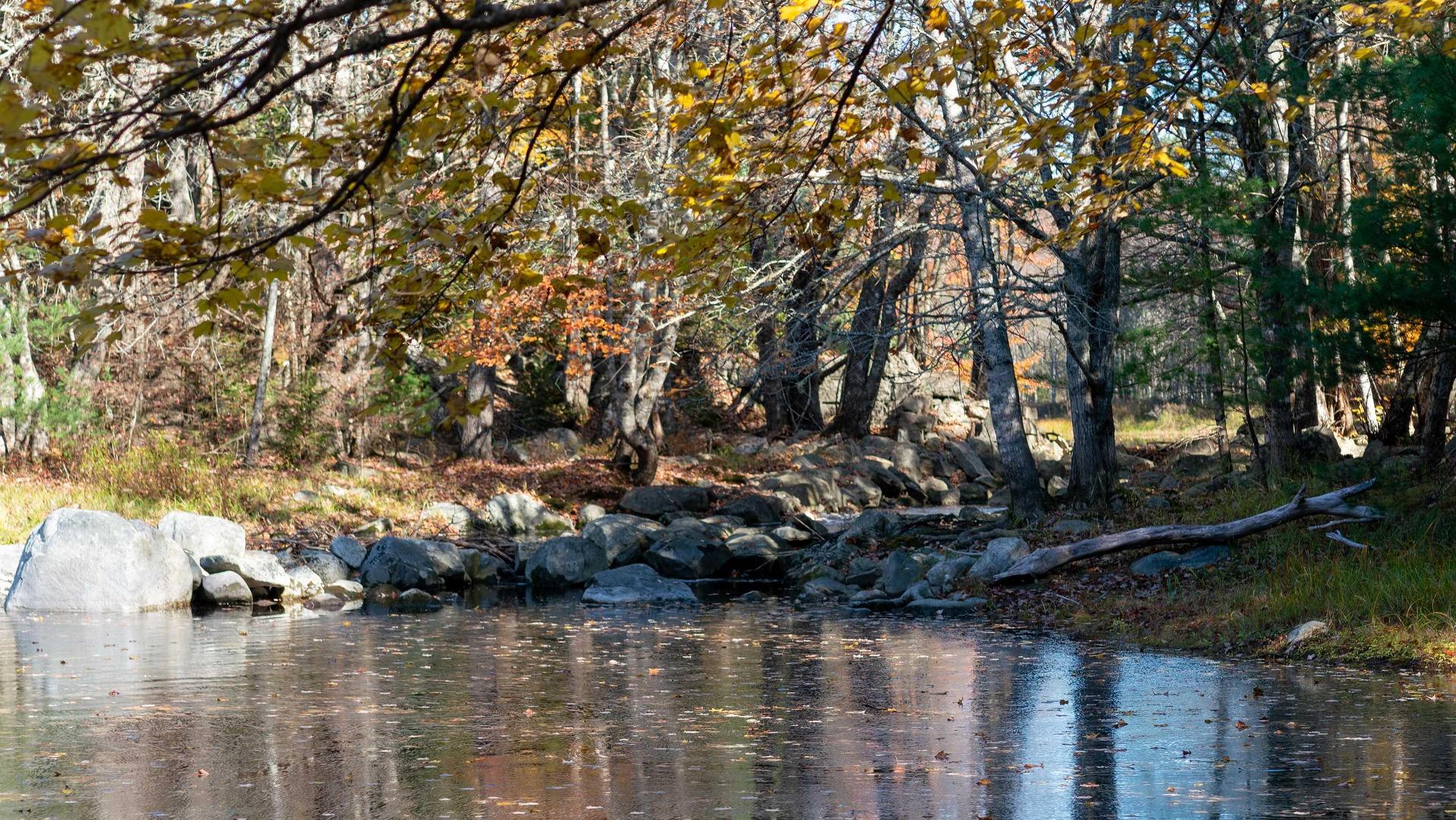 Lot Ss-2 Maple Drive, Lower Ohio, NS