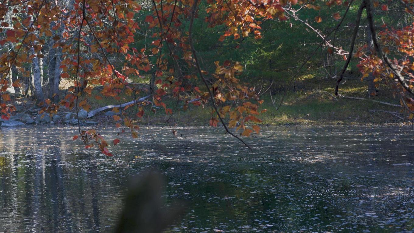 Lot Ss-2 Maple Drive, Lower Ohio, NS