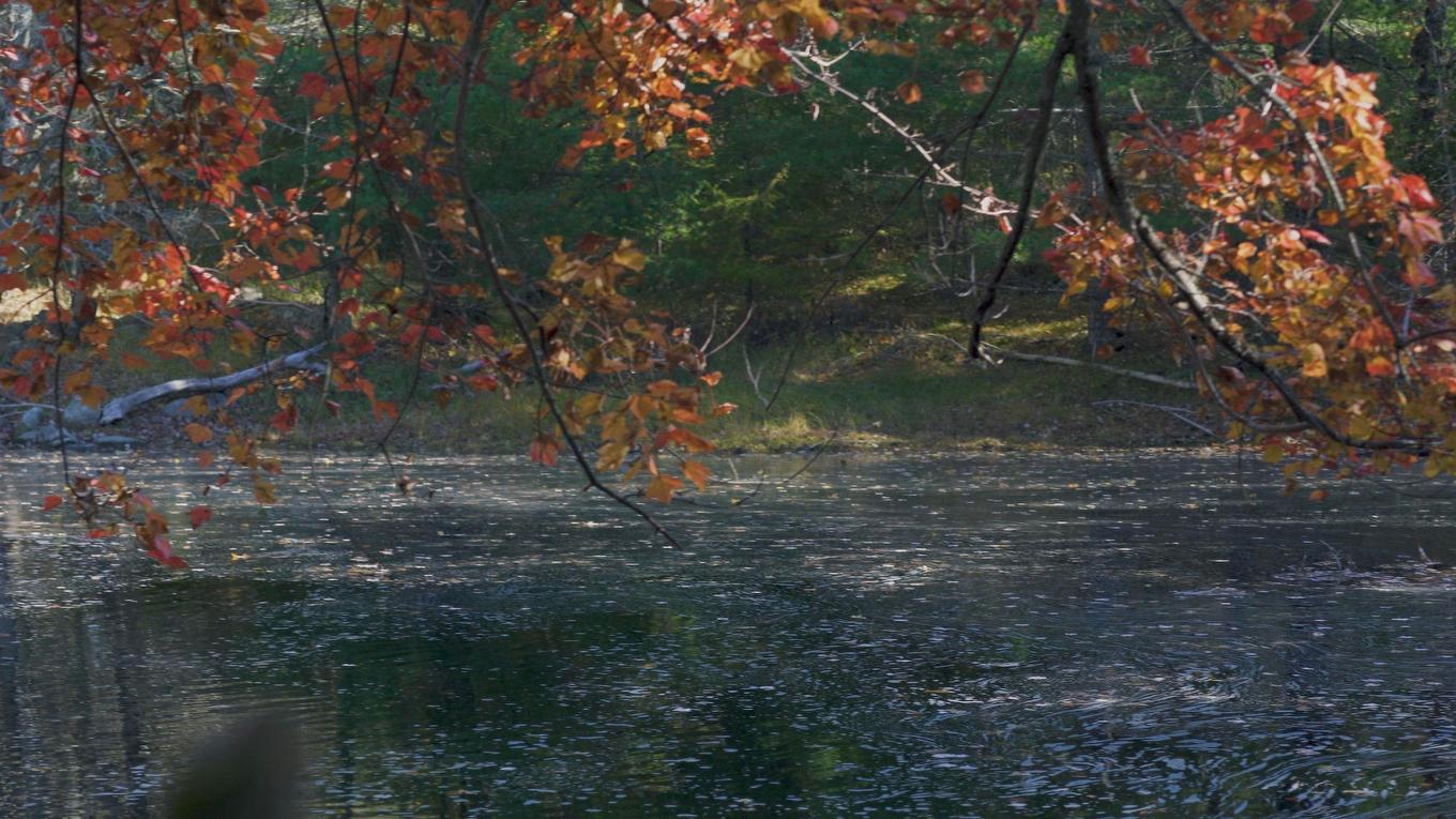 Lot Ss-2 Maple Drive, Lower Ohio, NS