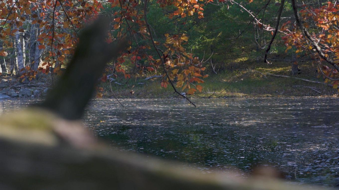 Lot Ss-2 Maple Drive, Lower Ohio, NS