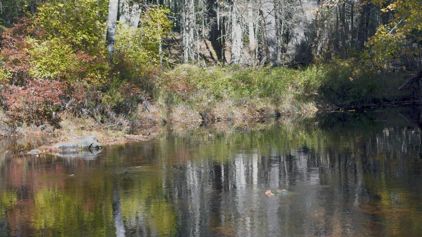 Lot 3 Maple Drive, Lower Ohio, NS