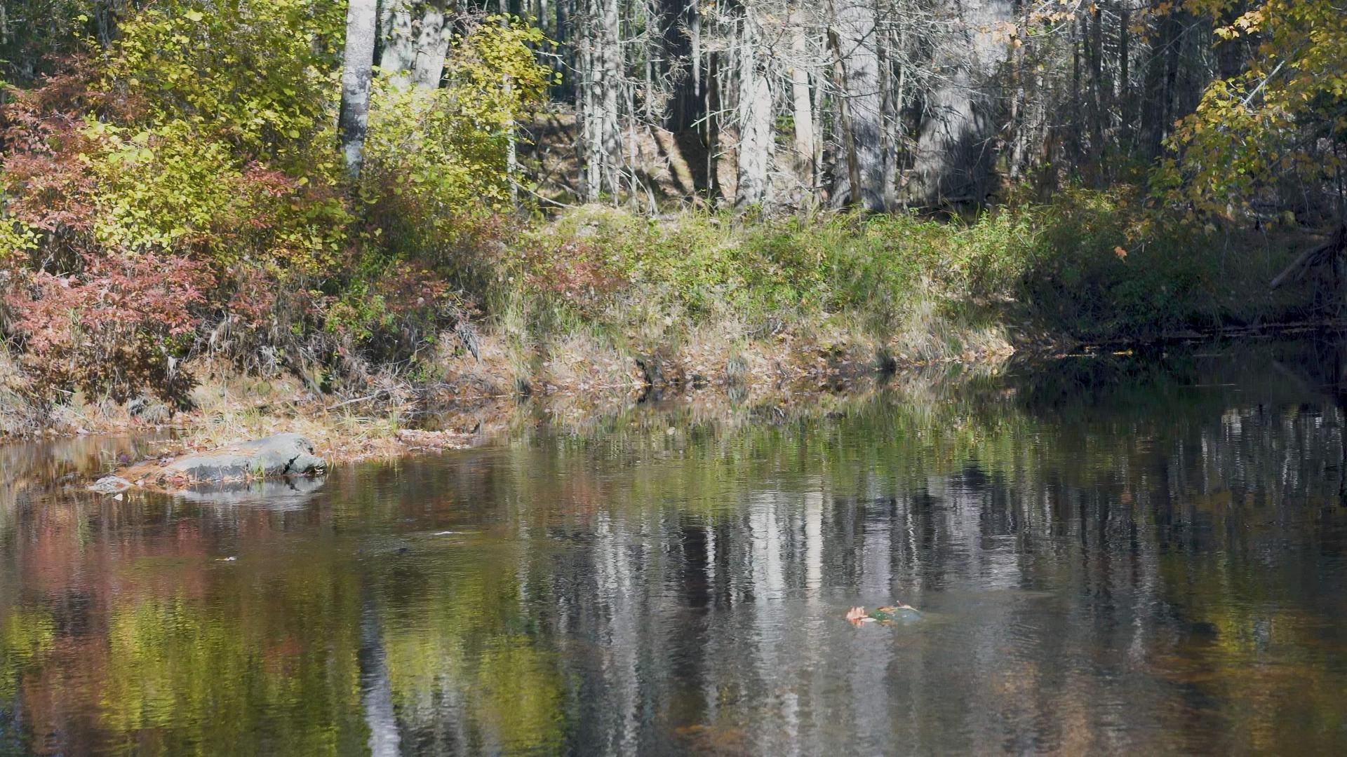Lot 3 Maple Drive, Lower Ohio, NS