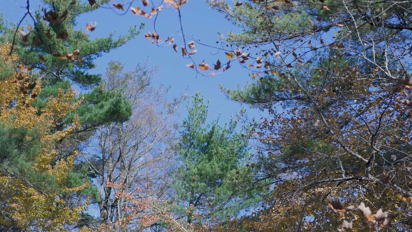 Lot 3 Maple Drive, Lower Ohio, NS