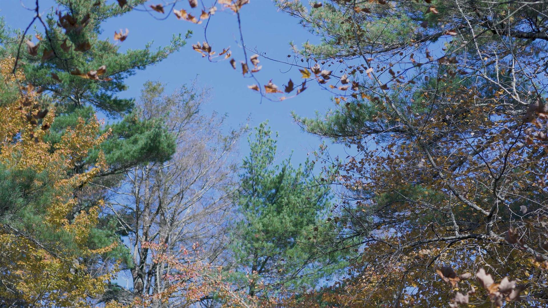 Lot 3 Maple Drive, Lower Ohio, NS