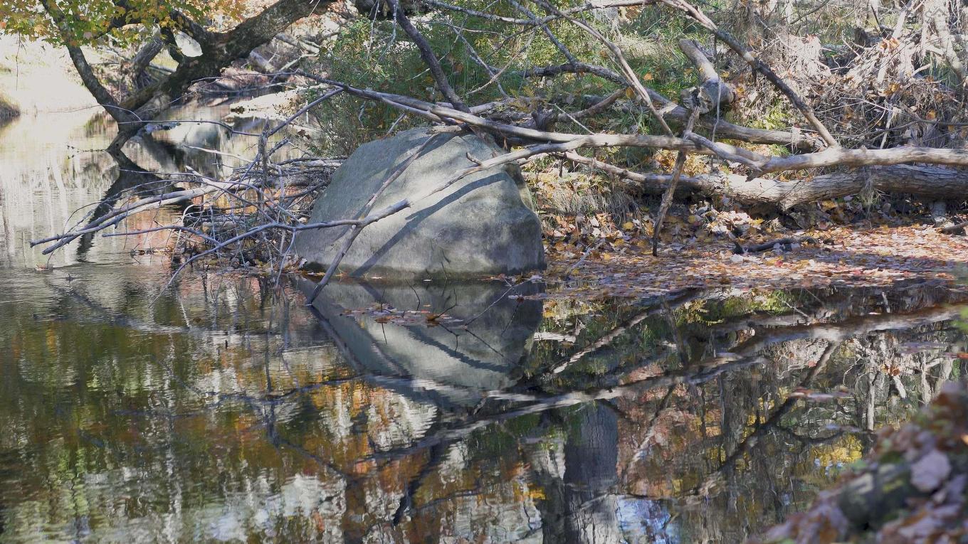 Lot 3 Maple Drive, Lower Ohio, NS