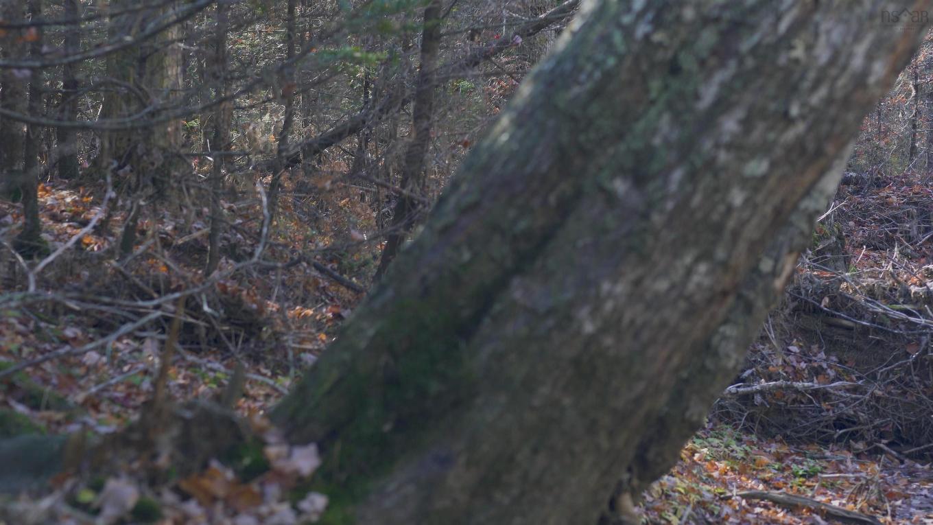 Lot 3 Maple Drive, Lower Ohio, NS