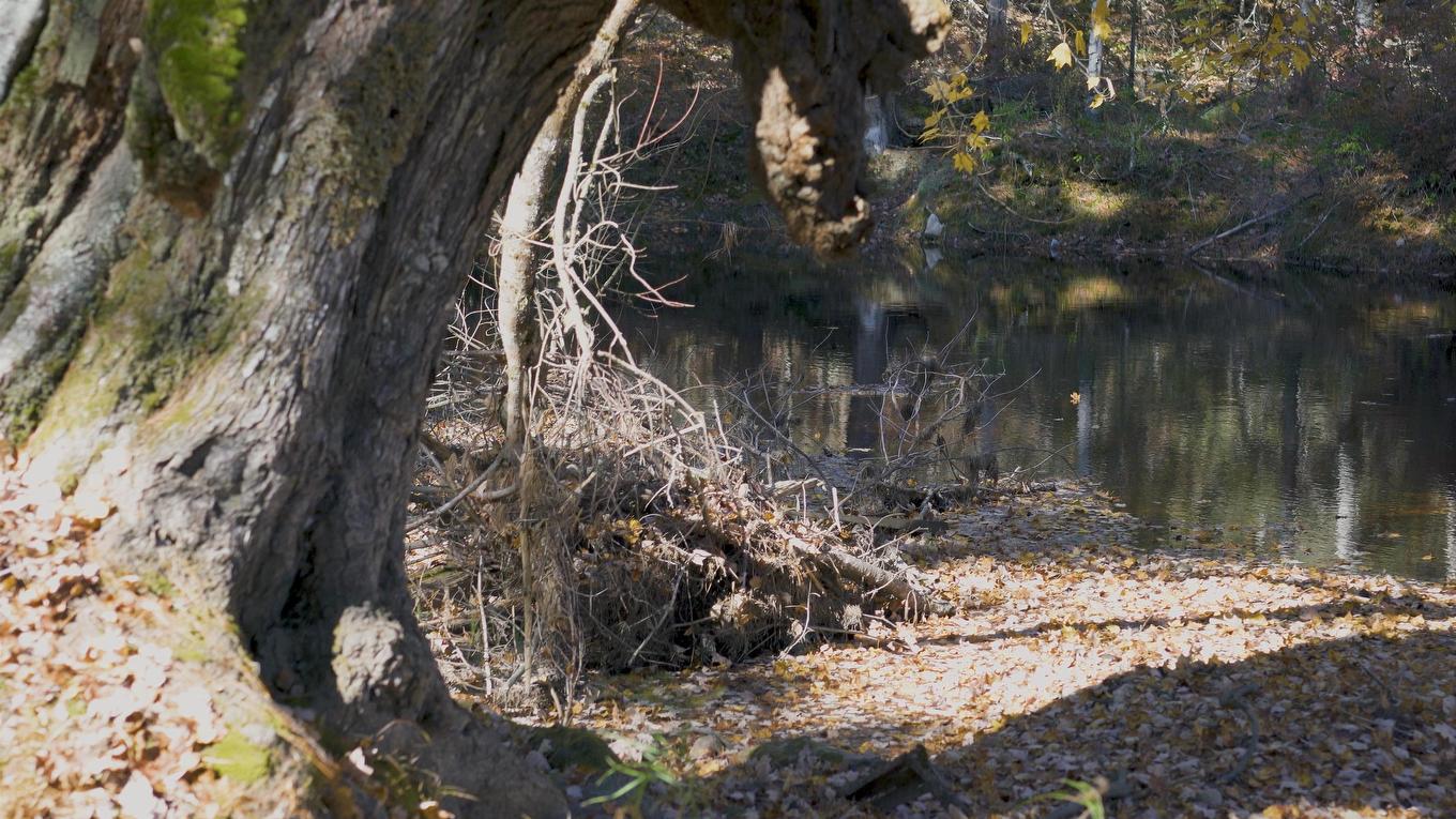 Lot 3 Maple Drive, Lower Ohio, NS