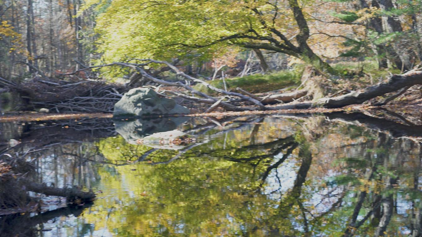 Lot 3 Maple Drive, Lower Ohio, NS