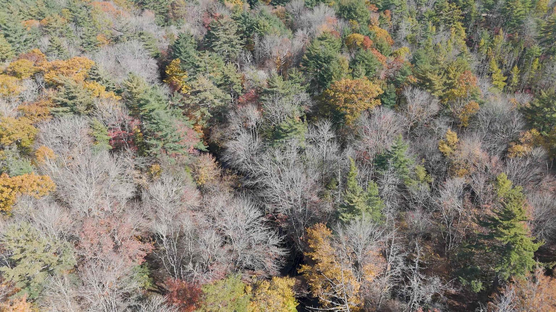 Lot 3 Maple Drive, Lower Ohio, NS