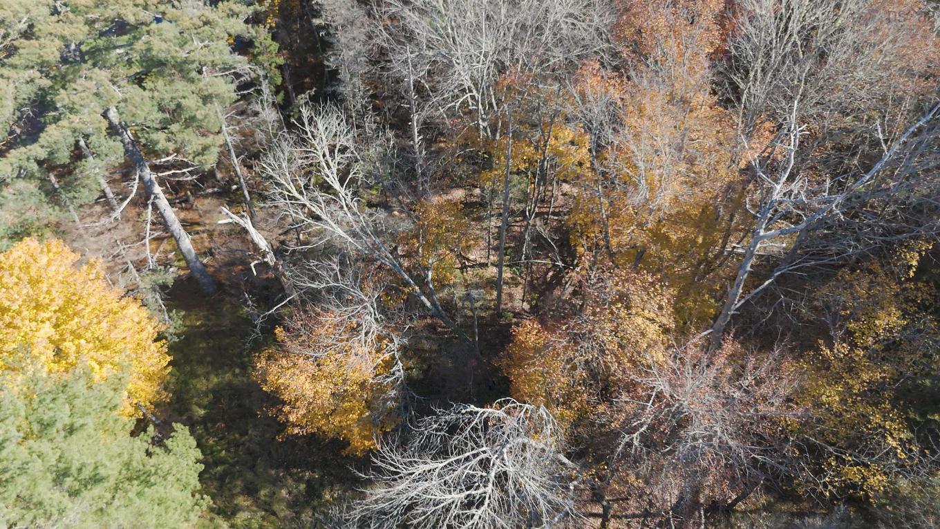 Lot 3 Maple Drive, Lower Ohio, NS