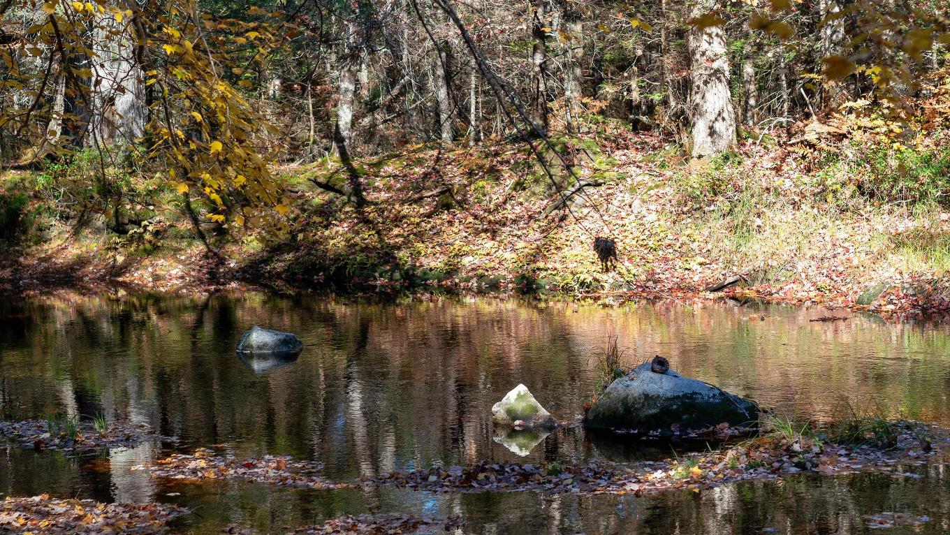 Lot 3 Maple Drive, Lower Ohio, NS