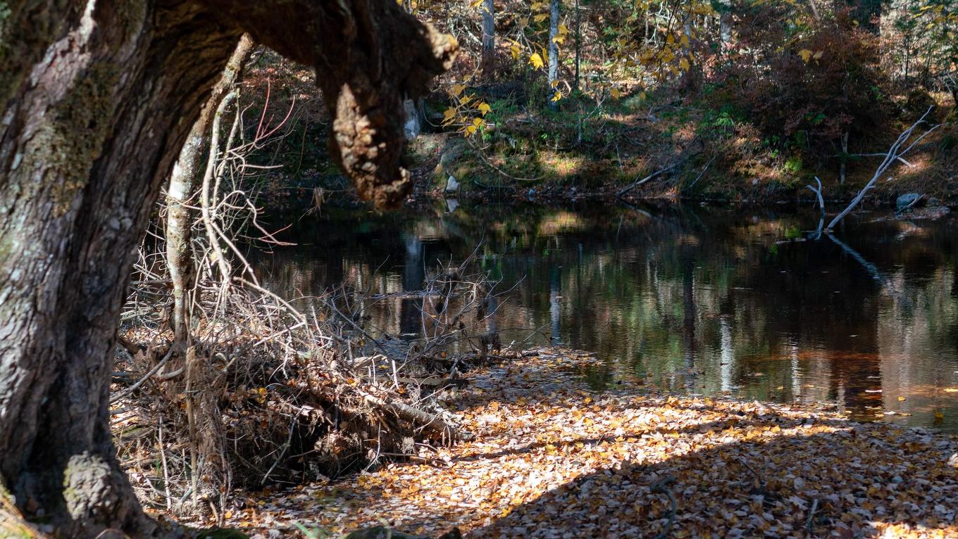 Lot 3 Maple Drive, Lower Ohio, NS