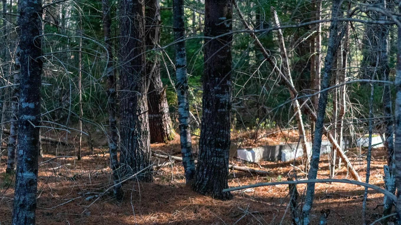 Lot 3 Maple Drive, Lower Ohio, NS