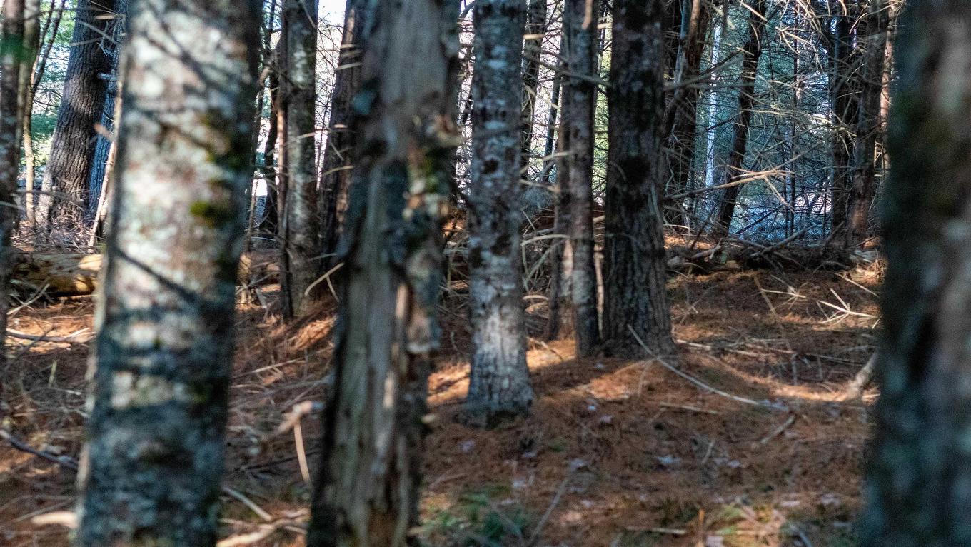 Lot 3 Maple Drive, Lower Ohio, NS