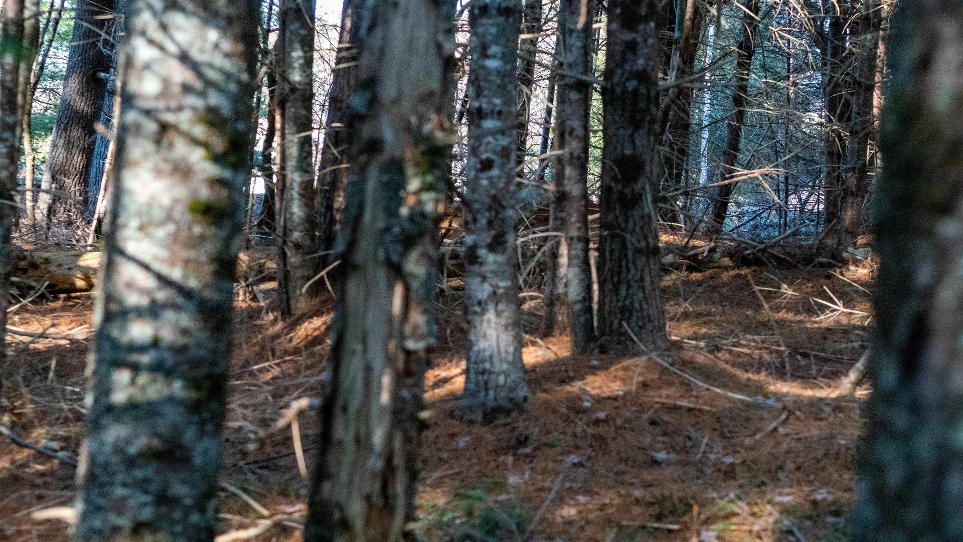 Lot 3 Maple Drive, Lower Ohio, NS