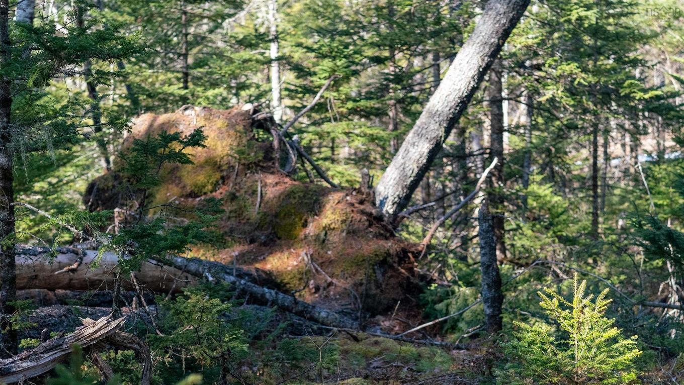 Lot 13 Maple Drive, Lower Ohio, NS