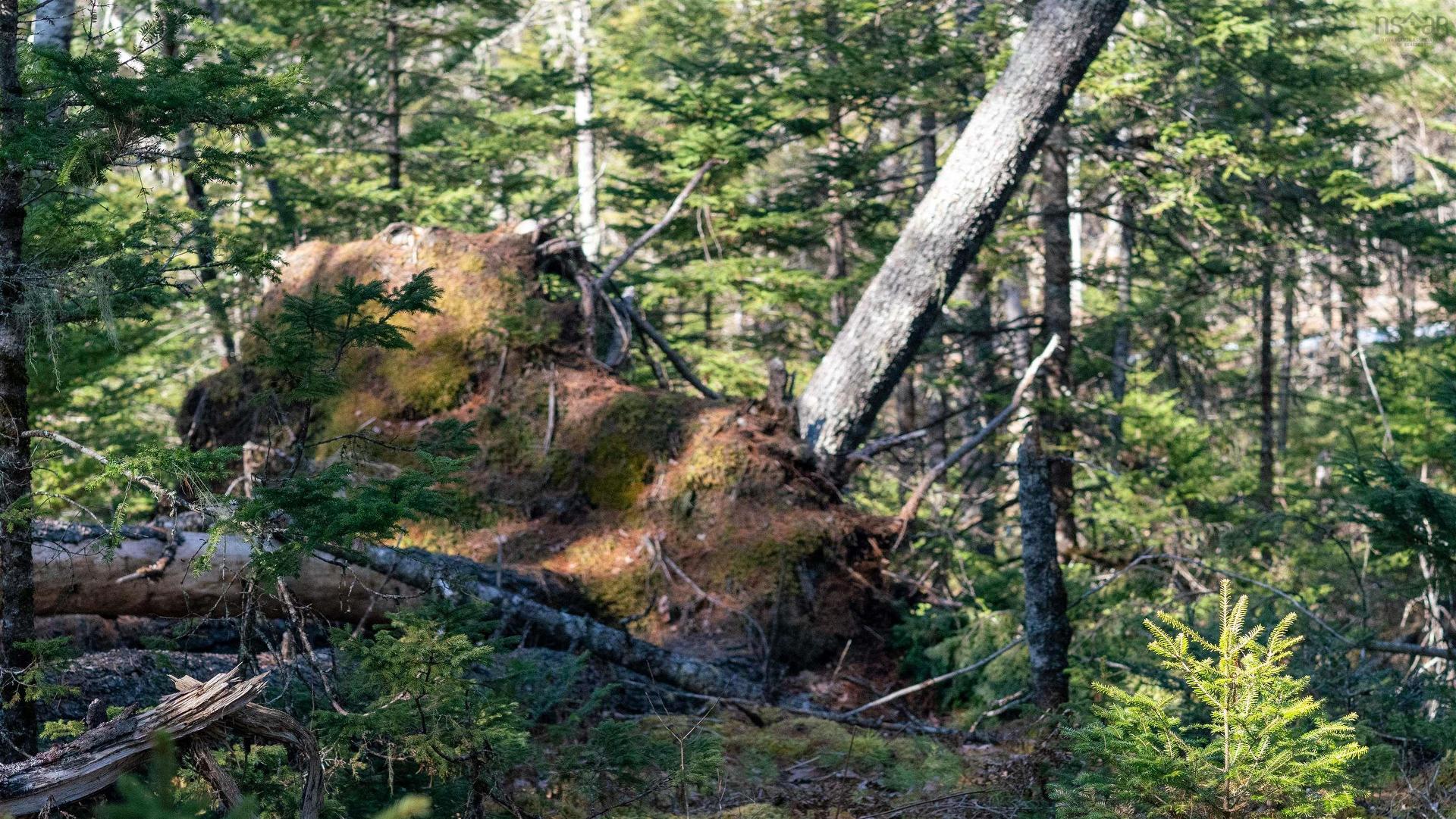 Lot 13 Maple Drive, Lower Ohio, NS